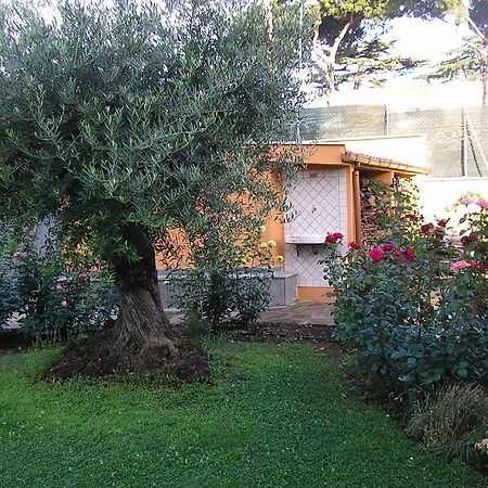 Al Vecchio Olivo Panzió Frascati Kültér fotó