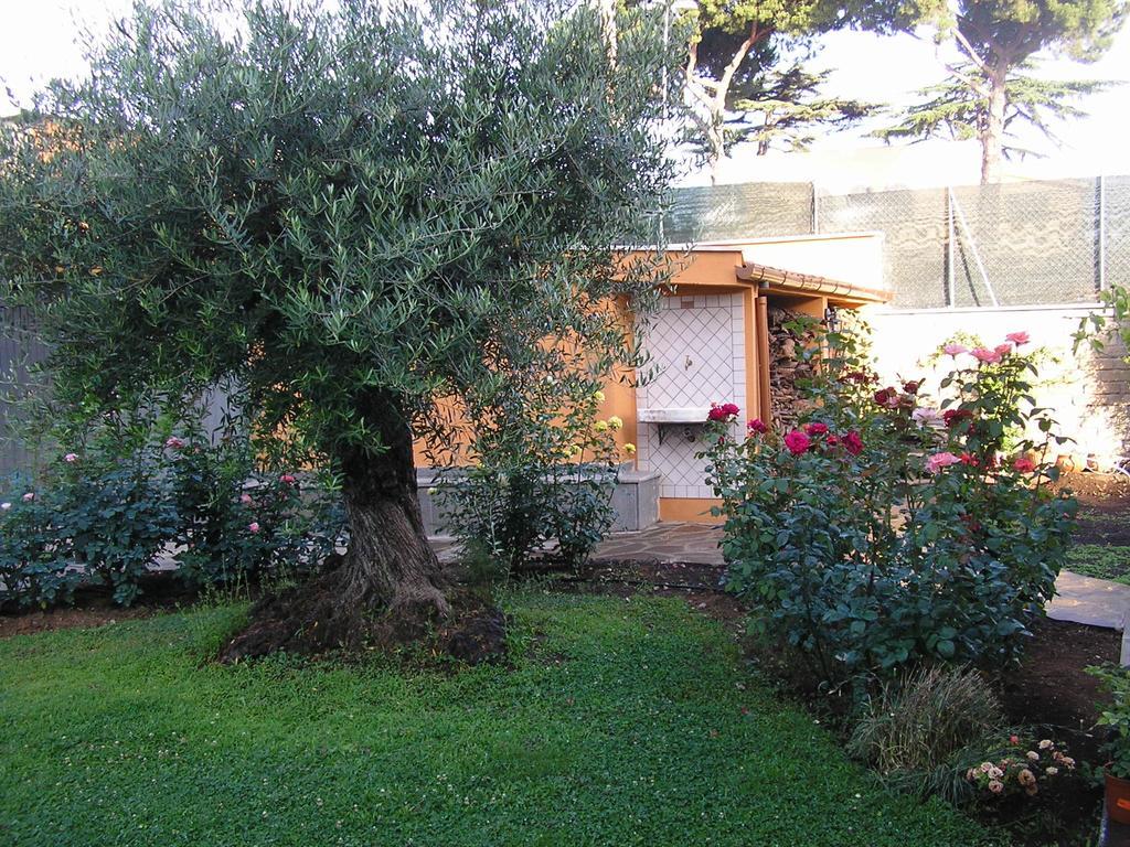 Al Vecchio Olivo Panzió Frascati Kültér fotó