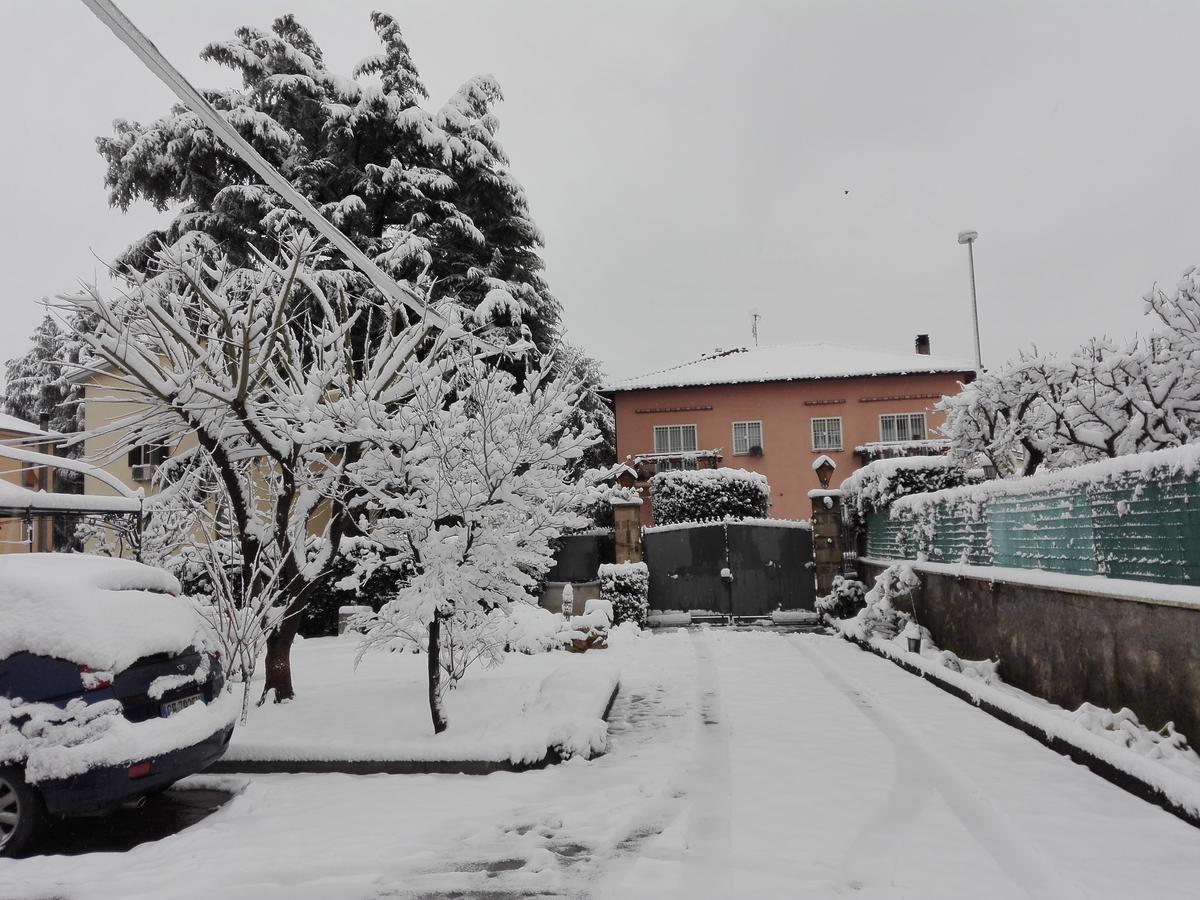 Al Vecchio Olivo Panzió Frascati Kültér fotó