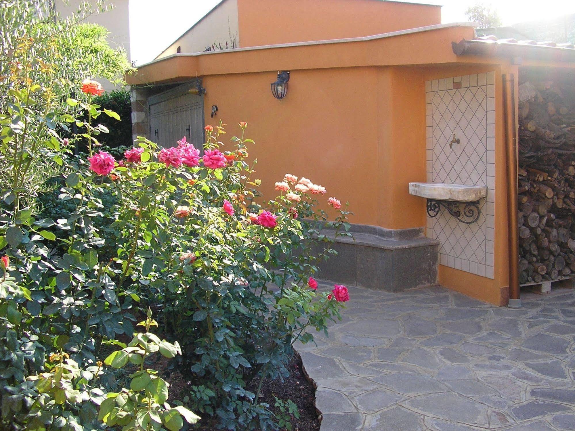Al Vecchio Olivo Panzió Frascati Kültér fotó