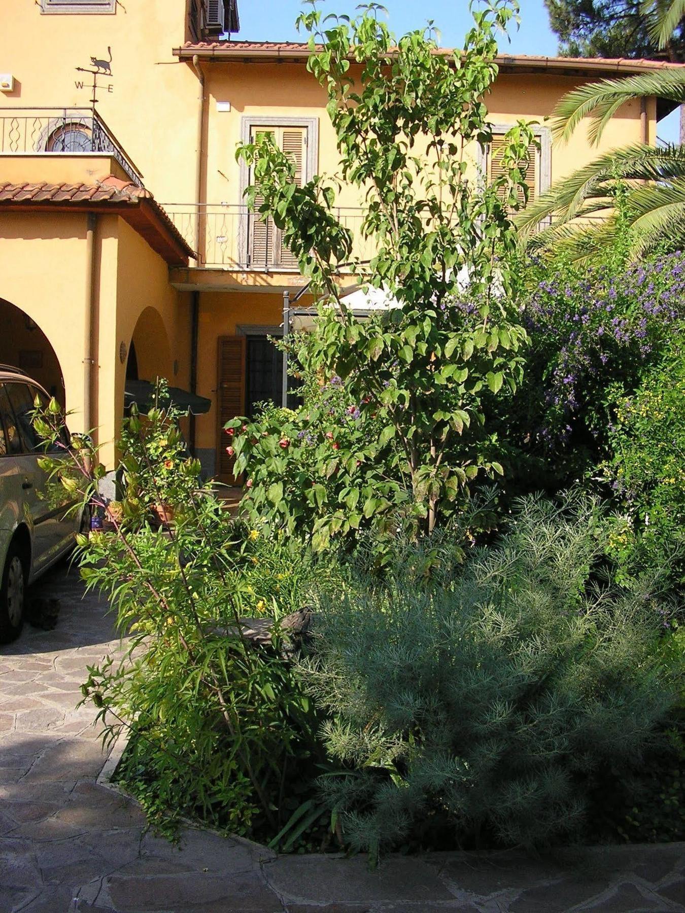 Al Vecchio Olivo Panzió Frascati Kültér fotó